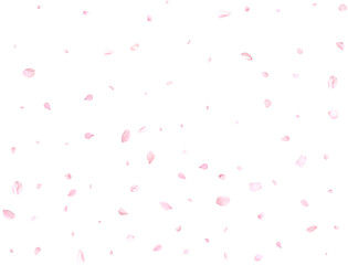 Realistic pink cherry petals.