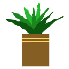 Potted plant illustration 