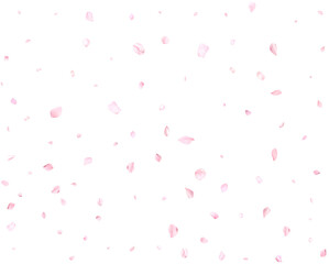 Realistic pink cherry petals.