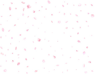 Realistic pink cherry petals.