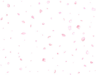 Realistic pink cherry petals.