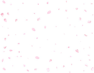 Realistic pink cherry petals.