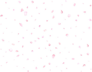 Realistic pink sakura petals.