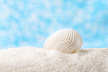 Obraz na płótnie Canvas Large beautiful sea shell with white sand blue abstract bokeh background
