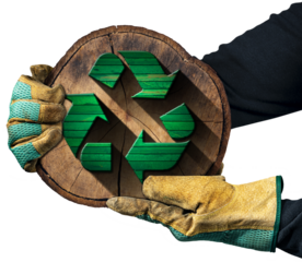 Hands with protective work gloves holding a recycling symbol made of green and brown wood inside of a cross section of a tree trunk. Sustainable Resources concept. Isolated on white or transparent bac