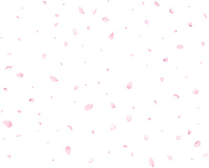 Realistic sakura or cherry petals.