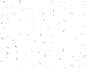 Fototapeta na wymiar Pink sakura petals.