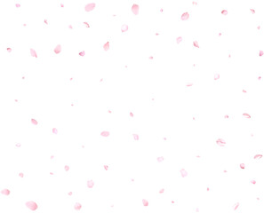 Pink sakura petals.