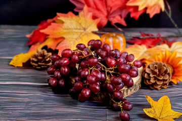 Bunch of red grapes on wood with autumn background