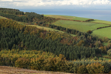 Exmoor National Park colored in the colors of autumn