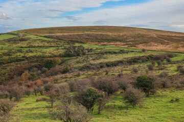 Exmoor National Park colored in the colors of autumn