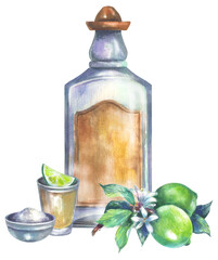 Tequila bottle with shot and lime branch, salt. 
Watercolor hand drawing painted illustration.