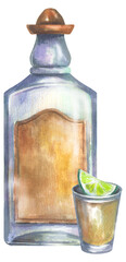 Tequila bottle with shot and lime. 
Watercolor hand drawing painted illustration.