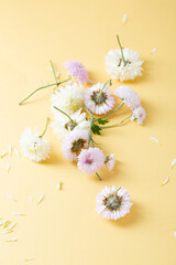 Flowers on light yellow surface