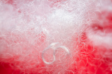Extreme macro of polyester stable fiber on red background