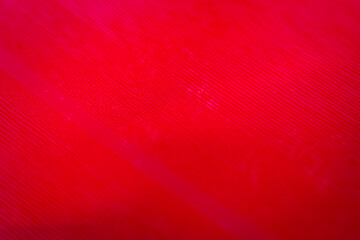 Macro shot of red color vinyl record