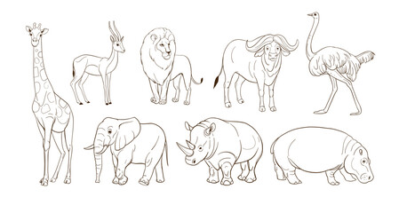 African animals, lion, elephant, gazelle, rhinoceros, cheetah, antelope, hippopotamus, rhinoceros, giraffe. Set of vector sketch illustrations - obrazy, fototapety, plakaty