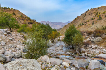 Fototapeta na wymiar Gulkamsay creek in Chimgan mountains (Bostanliq district, Tashkent region, Uzbekistan)