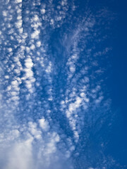 Blue sky with clouds