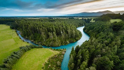 Washable wall murals Forest river aerial view of green grass forest with tall pine trees and blue bendy river flowing through the forest