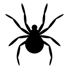 Black spider icon isolated on white background