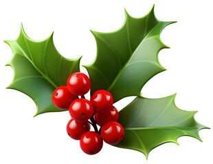 Christmas plant holly