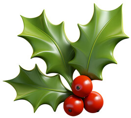 Christmas plant holly