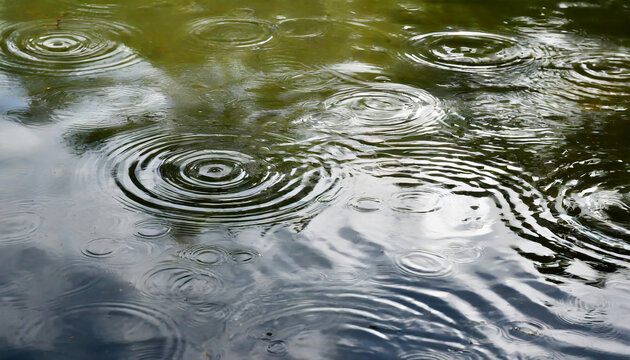 water ripples on the surface of a pond
