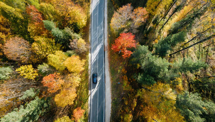 Obraz premium aerial top view of road with car through fall forest with colorful leaves