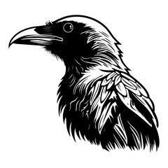 Naklejka premium black raven bird in different poses cartoon crow design flat vector animal illustration isolated on white background.