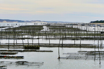Oyster bed sacks being revealed at low tide at Cap Ferret in Arcachon Bay, France
