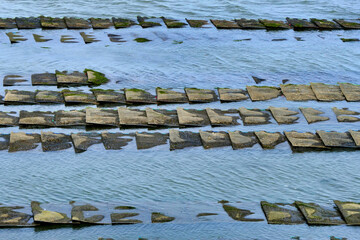 Oyster bed sacks being revealed at low tide at Cap Ferret in Arcachon Bay, France
