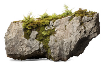 rock surrounded by moss and grass isolated on transparent background, png file