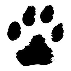 Paw print icon,vector illustration. Flat design style. vector paw print icon illustration isolated on White background, paw print icons graphic design vector symbols, Black silhouette. © Natworanat