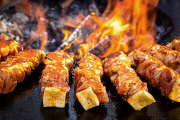 Selective focus of grilled kebab or chicken skewers picnic food cooking on outdoor bbq grill with fire flames and smoke in outdoor restaurant food outdoor kitchen