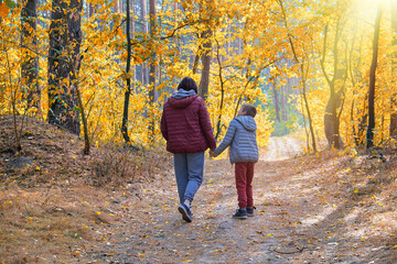 Fototapeta premium Family walking in the forest. Mother and young son holding hands strolling along a sunlit autumn forest path - family bonding, nurturing, quality time, parenthood, togetherness.