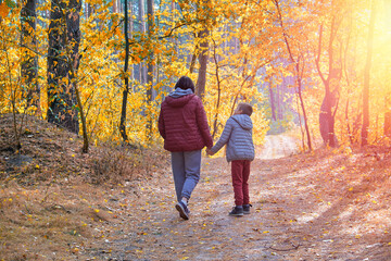 Fototapeta premium Family walking in the forest. Mother and young son holding hands strolling along a sunlit autumn forest path - family bonding, nurturing, quality time, parenthood, togetherness.