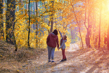 Obraz premium Family walking in the forest. Mother and young son holding hands strolling along a sunlit autumn forest path - family bonding, nurturing, quality time, parenthood, togetherness.