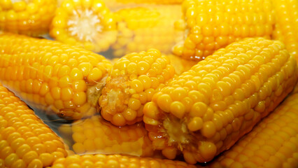 Close-up corns boiling in a pot