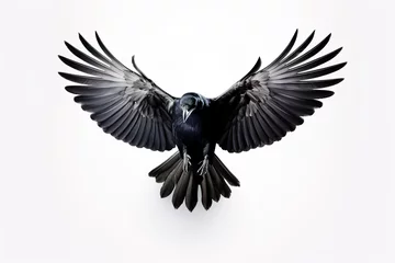 Fotobehang Black crow flying with wings spread on white background. © leo_nik