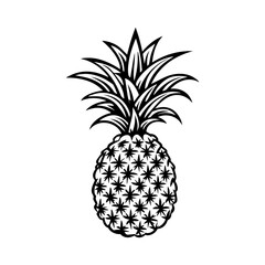 pineapple fruit. Vector black and white illustration.