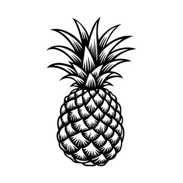 recommend clip art: pineapple fruit. Vector black and white illustration.