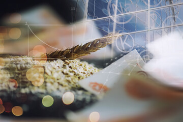 The concept of the cost of grain. 5000 ruble banknotes around a handful of ground grain. World...