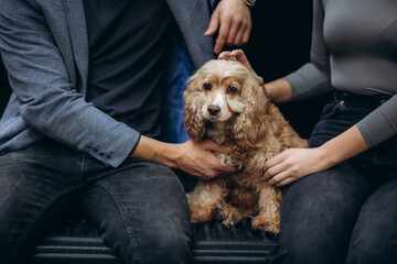 happy couple hugging a dog sitting in the trunk of a car © Roman