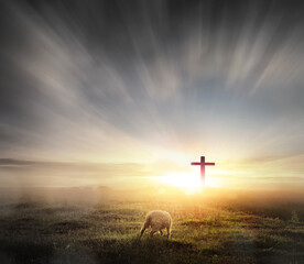 a lost sheep on Silhouettes of crucifix symbol on mountain with bright sunbeam on the colorful sky...