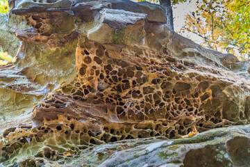 Sponge Like Rock at Giant City - Powered by Adobe