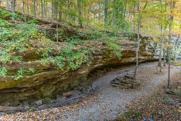 Rock Ledge with Plants Growing