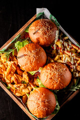 Obraz na płótnie Canvas fast food set on plate. burger and potato on table.