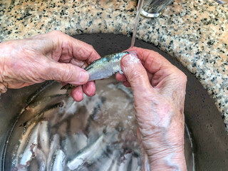 hands washing or cleaning raw fish in the sink