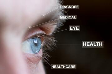 Eye monitoring and treatment in healthcare. Biometric diagnostics scan of male eye on virtual panel. - 667717495